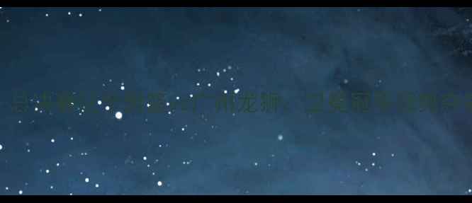 图片 CBA-总决赛辽宁男篮vs广州龙狮：卫冕冠军强势夺冠全