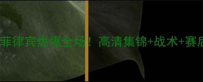 图片 ✨中国男篮vs菲律宾燃爆全场！高清集锦+战术+赛后深度复盘🔥1