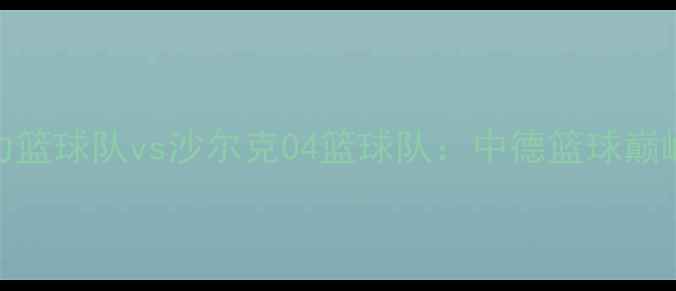 图片 广州富力篮球队vs沙尔克04篮球队：中德篮球巅峰对决全
