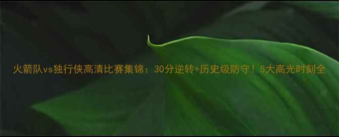 图片 火箭队vs独行侠高清比赛集锦：30分逆转+历史级防守！5大高光时刻全