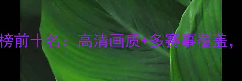 图片 篮球赛事夜间直播平台排行榜前十名：高清画质+多赛事覆盖，推荐最值得关注的5大平台1