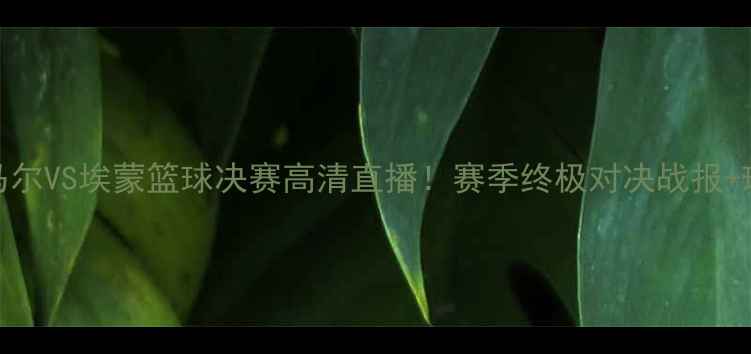 图片 阿尔克马尔VS埃蒙篮球决赛高清直播！赛季终极对决战报+球员数据