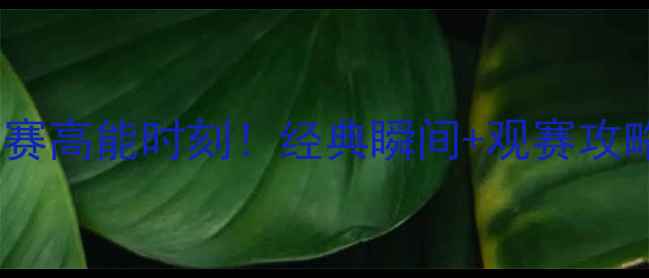 图片 🔥NBA-18全明星赛高能时刻！经典瞬间+观赛攻略+球员数据全🏀