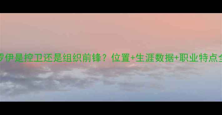 图片 🔥NBA罗伊是控卫还是组织前锋？位置+生涯数据+职业特点全指南1