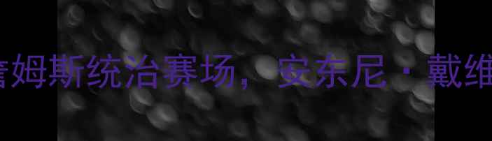 图片 NBA赛季湖人队夺冠全记录：詹姆斯统治赛场，安东尼·戴维斯关键表现与季后赛经典战役