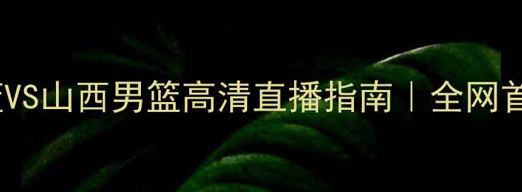 图片 🔥辽宁男篮VS山西男篮高清直播指南｜全网首发视角💥2